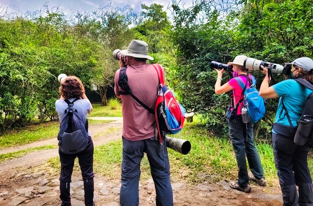 Guatemala Birding & Photography Tour