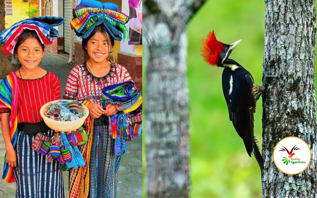 Combine Birding and Cultural Tours in Guatemala